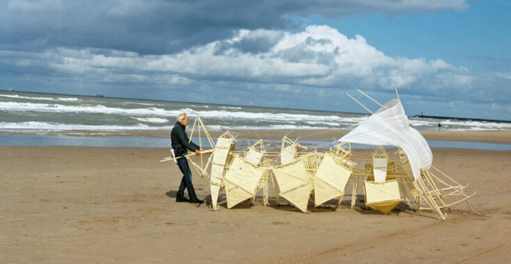 De wereldberoemde strandbeesten!