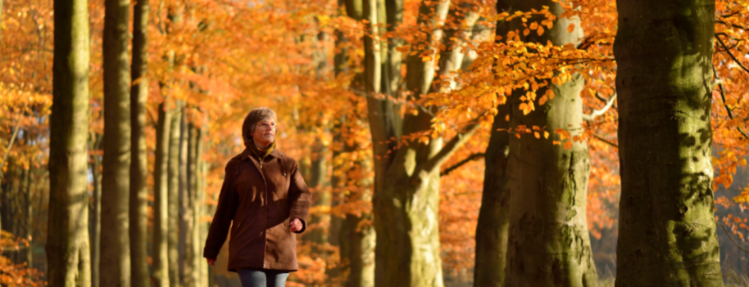 Wandeling: De woeste grond van Overijssel