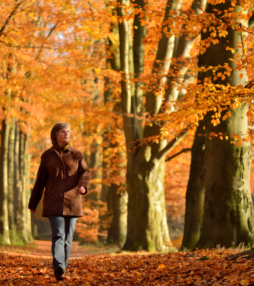 Wandeling: De woeste grond van Overijssel