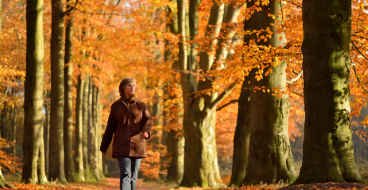 Wandeling: De woeste grond van Overijssel