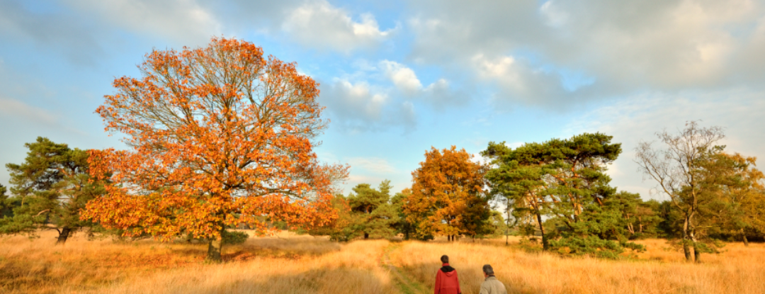 Wandelroute: Alleen op de wereld