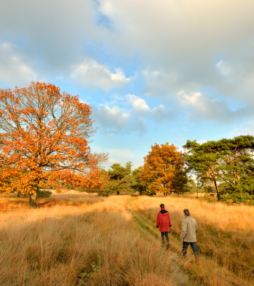 Wandelroute: Alleen op de wereld