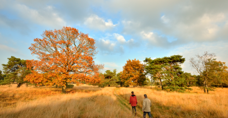 Wandelroute: Alleen op de wereld