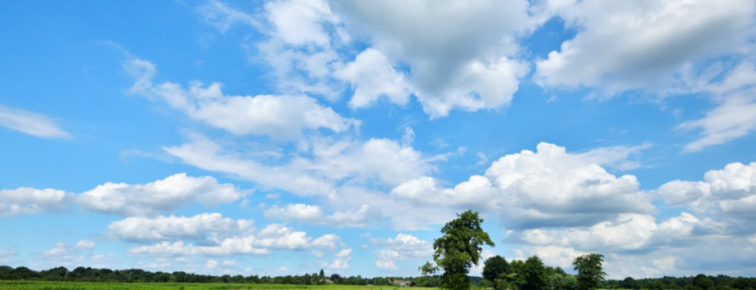 Wandelroute: Het domein van de das