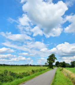 Wandelroute: Het domein van de das