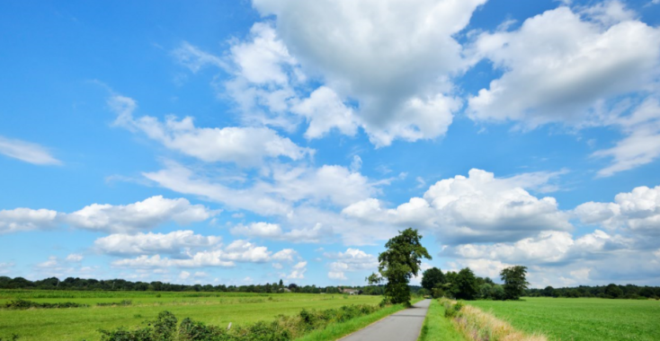 Wandelroute: Het domein van de das