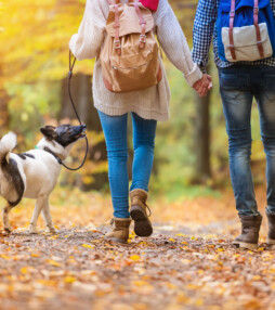 Wandelen is de haast uit je hoofd halen