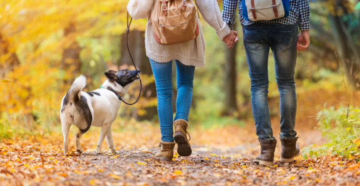 Wandelen is de haast uit je hoofd halen