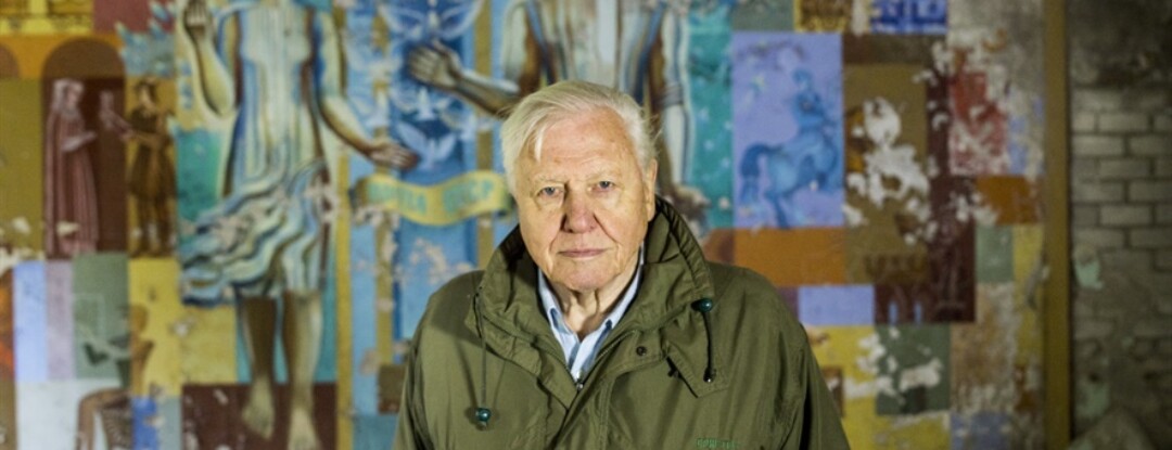 Natuur op Netflix: nieuwe docu David Attenborough