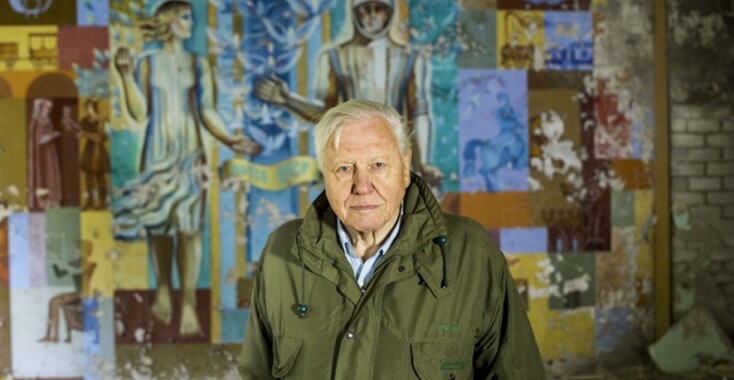 Natuur op Netflix: nieuwe docu David Attenborough