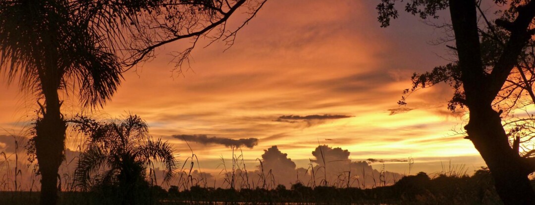 Nergens is de lucht zo rood…