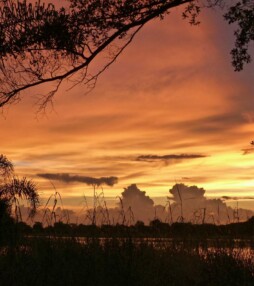 Nergens is de lucht zo rood…