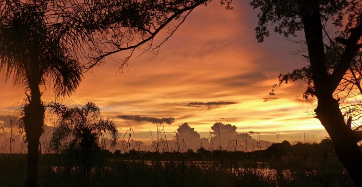 Nergens is de lucht zo rood…