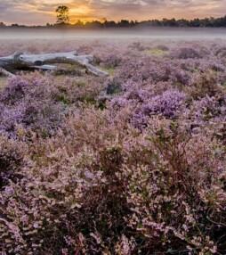 Ga mee oerwandelen in Drenthe