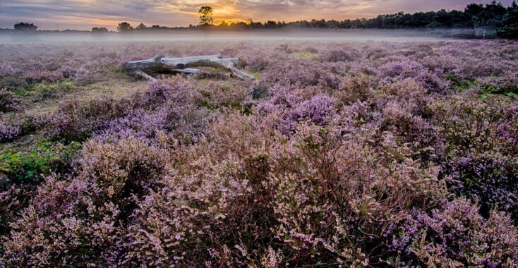 Ga mee oerwandelen in Drenthe