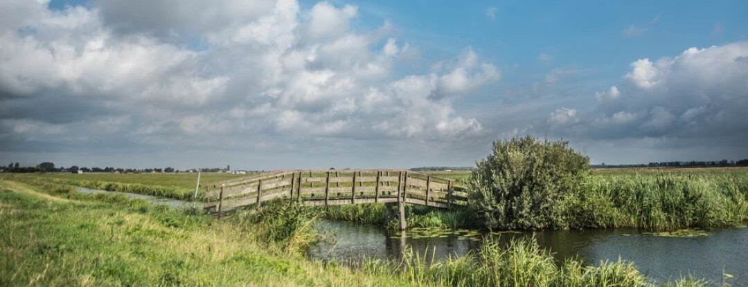 We glibberen en glijden door eindeloze weilanden