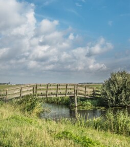 We glibberen en glijden door eindeloze weilanden