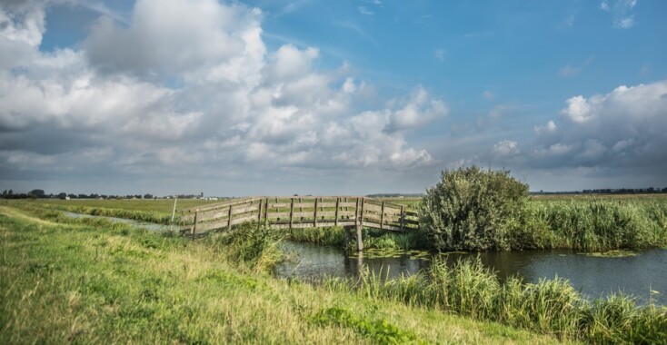 We glibberen en glijden door eindeloze weilanden