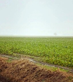 Pieterpad aflevering 2: Van Winsum naar Groningen