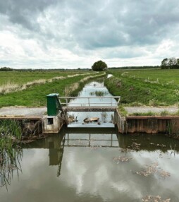 Het Andersche Diep is een onverwachte wildernis, helemaal verlaten