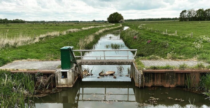 Het Andersche Diep is een onverwachte wildernis, helemaal verlaten