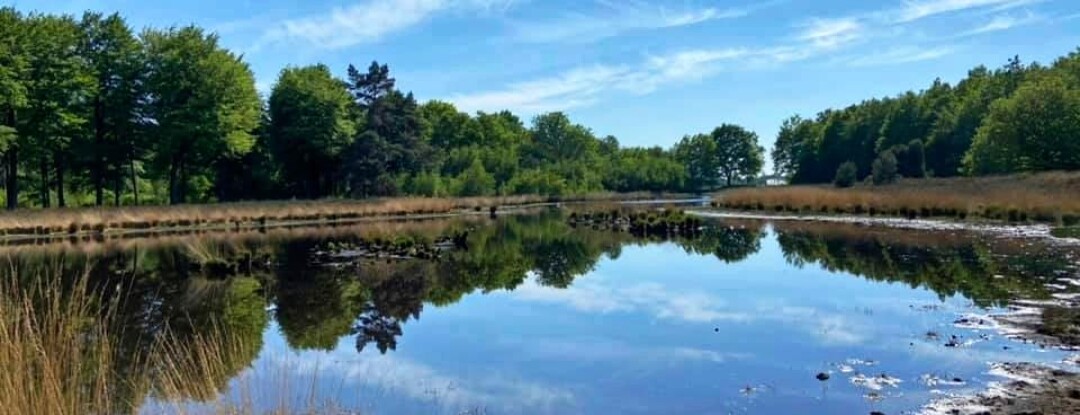 We kunnen gelukkig een loods in springen voor de hoosbui losbarst