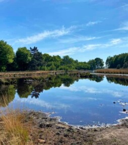 We kunnen gelukkig een loods in springen voor de hoosbui losbarst