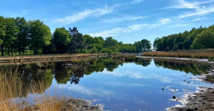 We kunnen gelukkig een loods in springen voor de hoosbui losbarst