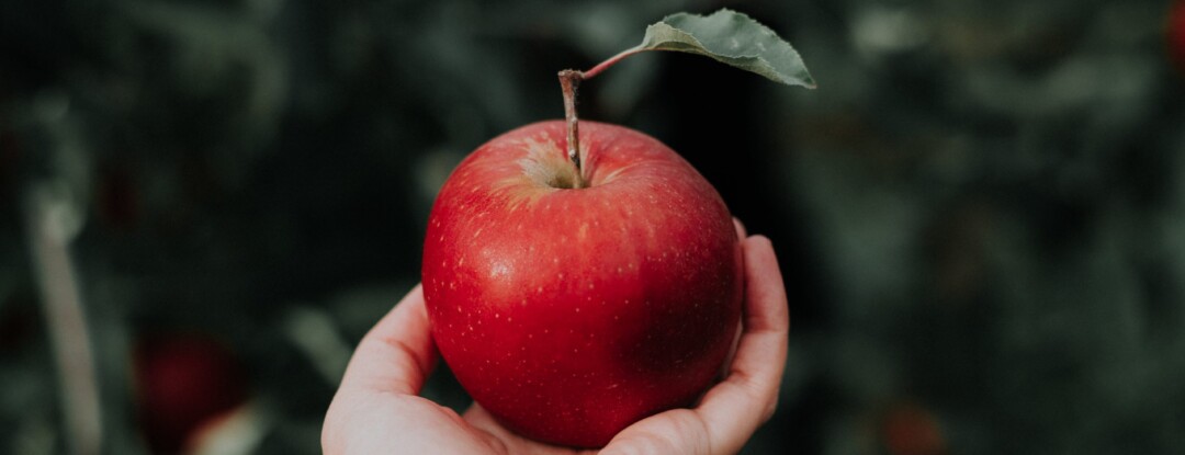 4 x knutselen met appels op ‘Eet een appel dag’