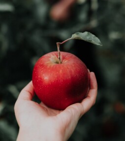 4 x knutselen met appels op ‘Eet een appel dag’