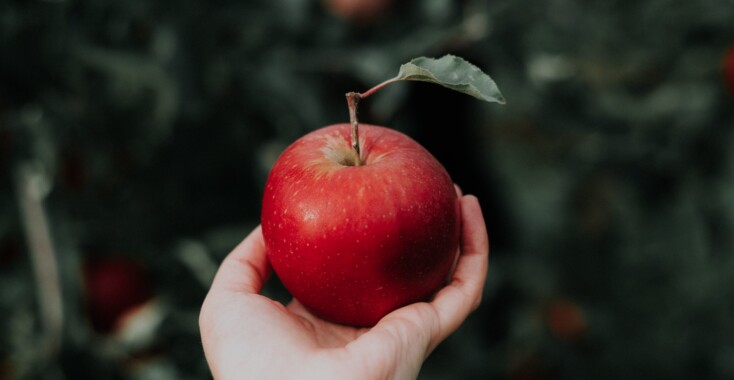 4 x knutselen met appels op ‘Eet een appel dag’