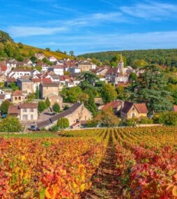 De herfst vier je in de Bourgogne