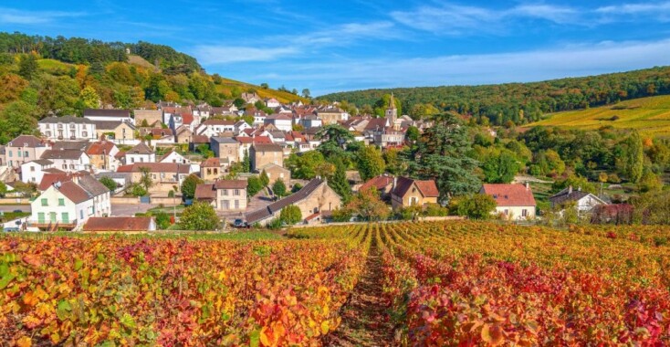 De herfst vier je in de Bourgogne