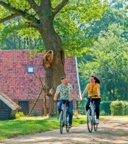 Ontdek de bourgondische Achterhoek