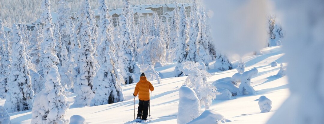 Geniet van de rust en ruimte in Fins Lapland in de winter