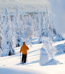 Geniet van de rust en ruimte in Fins Lapland in de winter