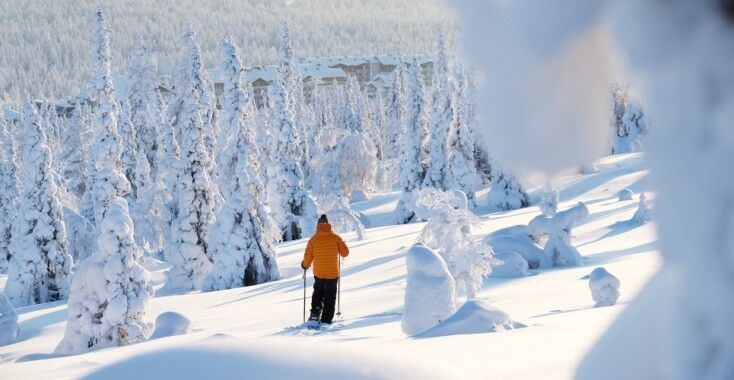 Geniet van de rust en ruimte in Fins Lapland in de winter