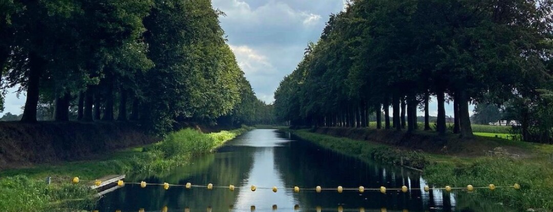 Het filelopen is niet zo rustgevend als wandelen normaal is