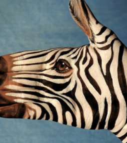 Guido Daniele en het betere handwerk