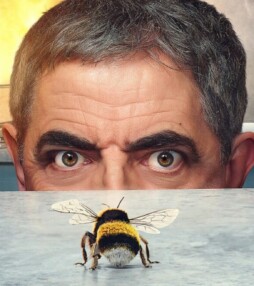 Lekker lachen: Rowan Atkison in Man Vs Bee