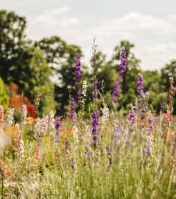 5 x nostalgische zomerplaylists voor bij de bbq