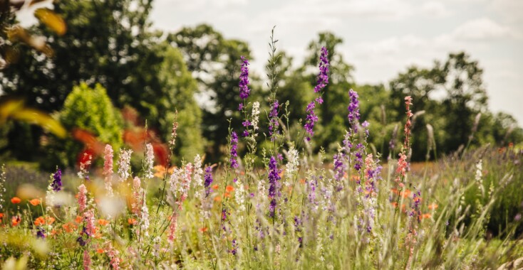 5 x nostalgische zomerplaylists voor bij de bbq