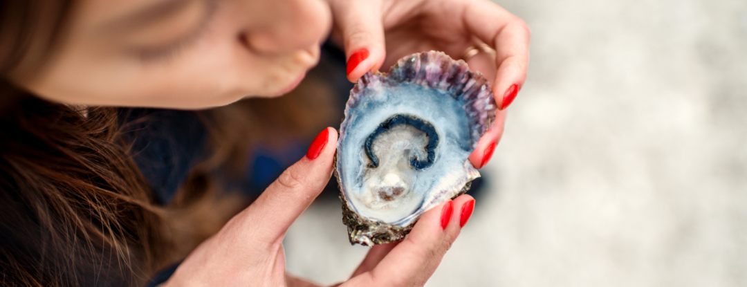 Oesters: de parels van de zee