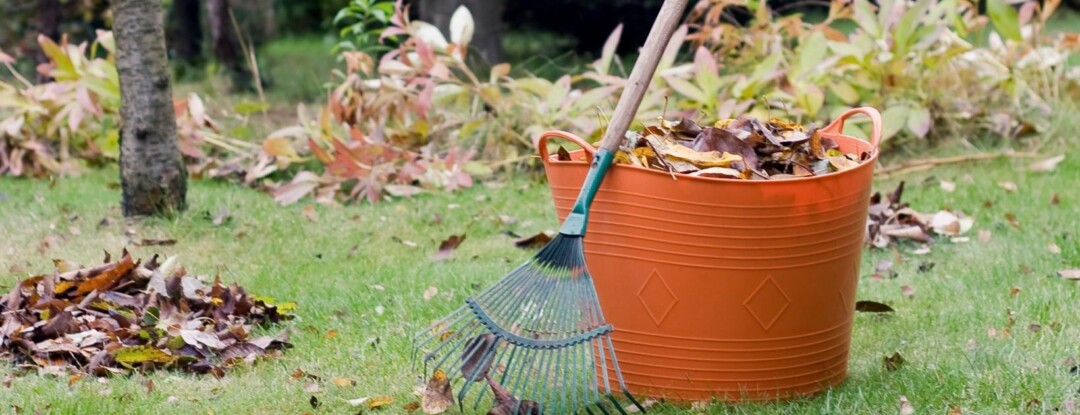 Maak je tuin winterklaar – 11 tips