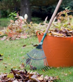 Maak je tuin winterklaar – 11 tips