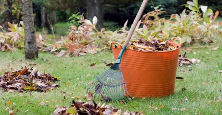 Maak je tuin winterklaar – 11 tips