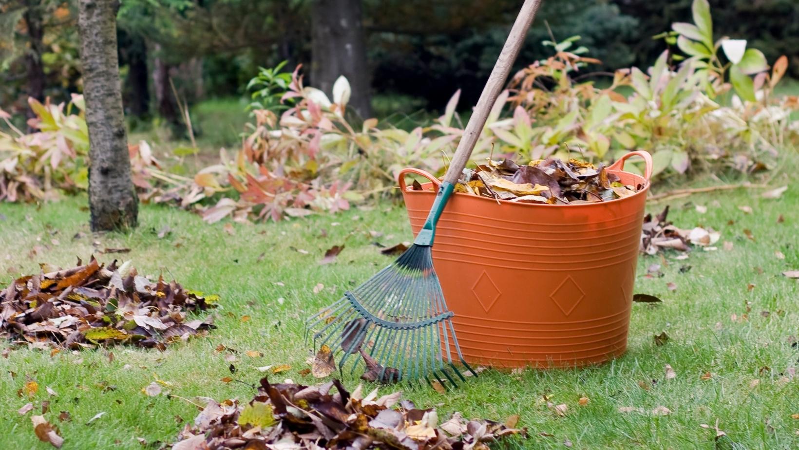 Maak Je Tuin Winterklaar Tips Zin Nl