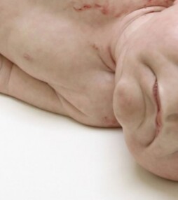 De hyperrealistische sculpturen van Ron Mueck