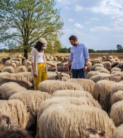 De kop van Drenthe