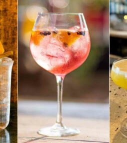 Dry januari? Try Ginamis!